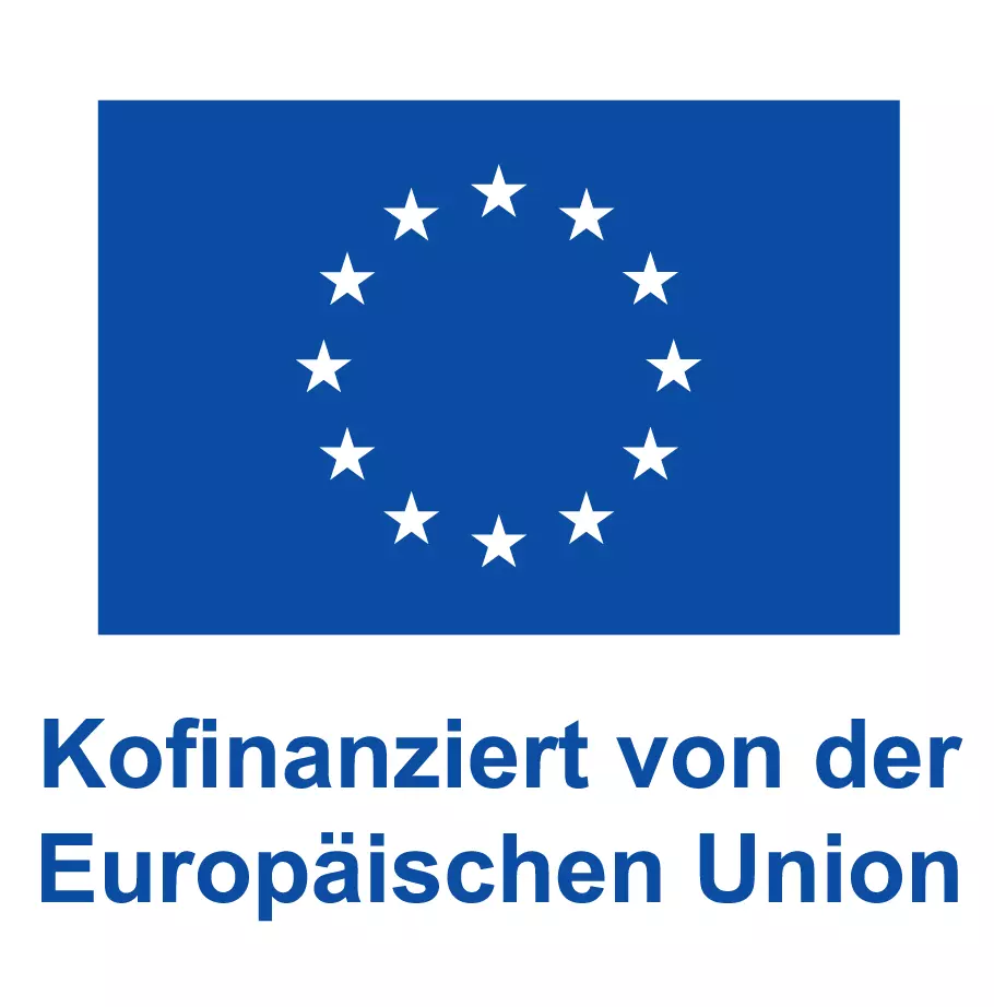 DE_V_Kofinanziert_von_der_Europaeischen_Union_Web_blau