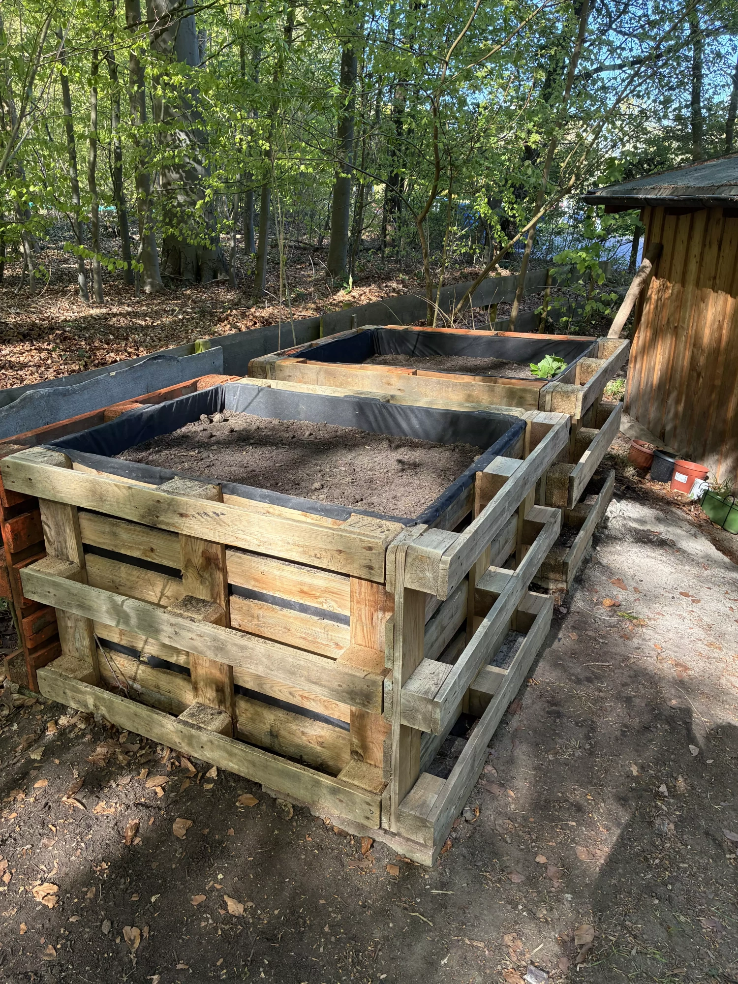 IMG_5792